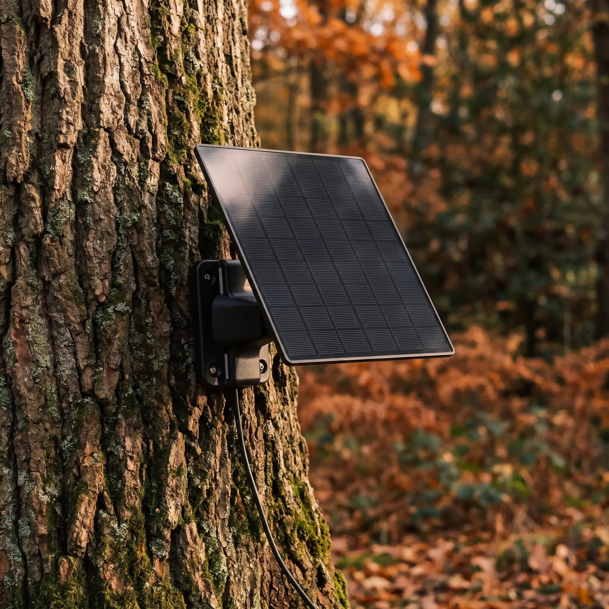 Solarpanel SP200 am Baum im Herbstwald